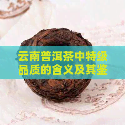 云南普洱茶中特级品质的含义及其鉴别方法