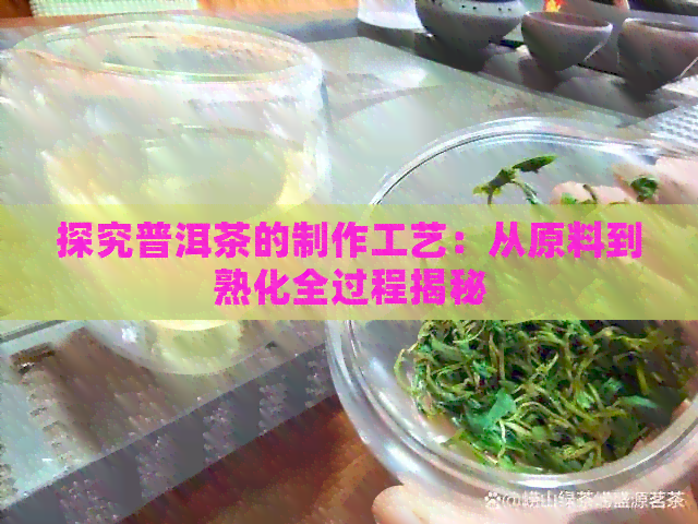 探究普洱茶的制作工艺：从原料到熟化全过程揭秘