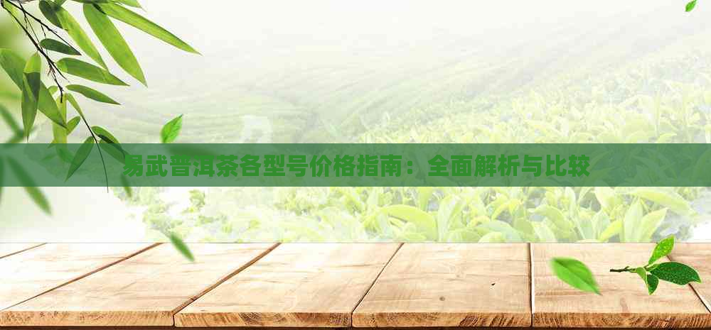 易武普洱茶各型号价格指南：全面解析与比较