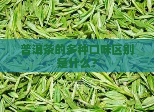 普洱茶的多种口味区别是什么？