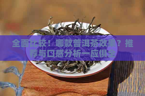 全面比较！哪款普洱茶效果？推荐与口感分析一应俱全