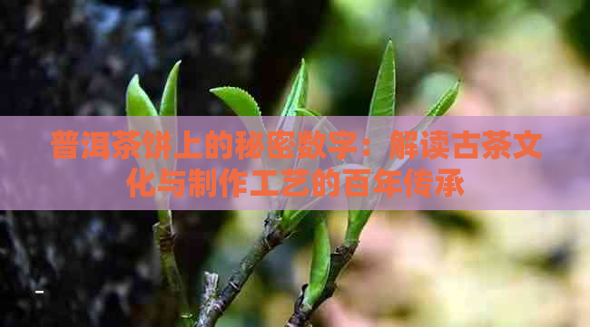 普洱茶饼上的秘密数字：解读古茶文化与制作工艺的百年传承