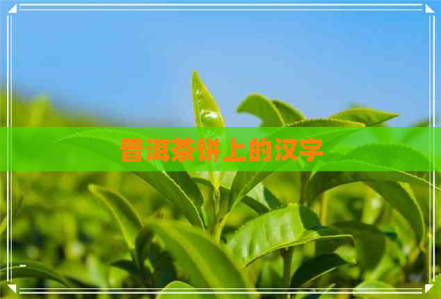 普洱茶饼上的汉字