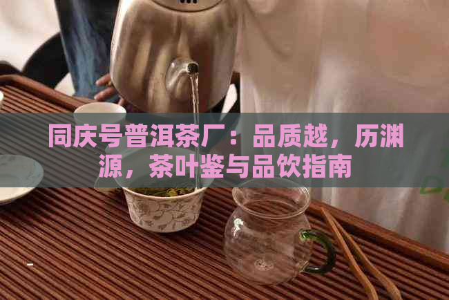 同庆号普洱茶厂：品质越，历渊源，茶叶鉴与品饮指南