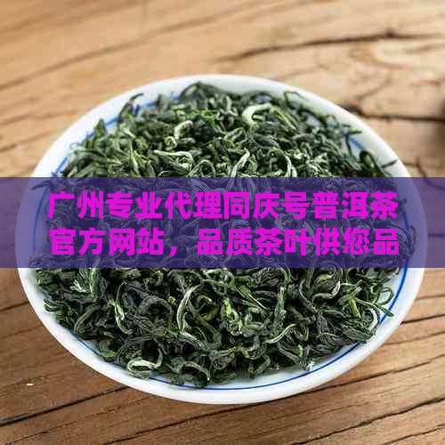 广州专业代理同庆号普洱茶官方网站，品质茶叶供您品鉴