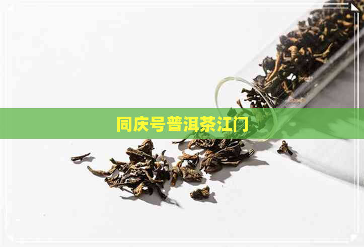 同庆号普洱茶江门