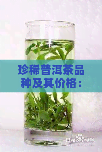 珍稀普洱茶品种及其价格：揭秘最昂贵的普洱茶名称与背后的故事