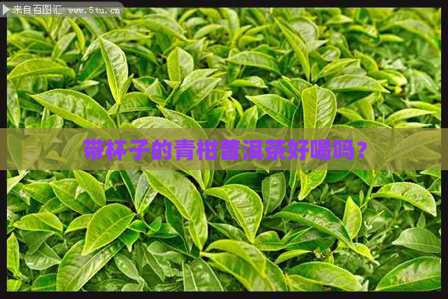 带杯子的青柑普洱茶好喝吗？