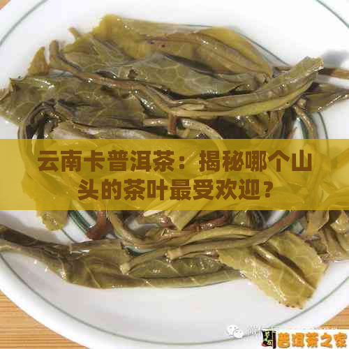 云南卡普洱茶：揭秘哪个山头的茶叶更受欢迎？