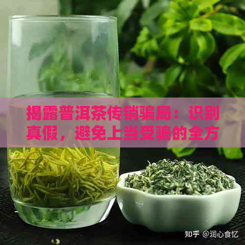 揭露普洱茶传销骗局：识别真假，避免上当受骗的全方位指南