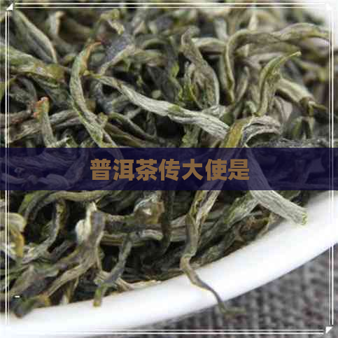 普洱茶传大使是