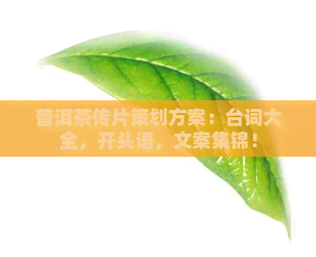 普洱茶传片策划方案：台词大全，开头语，文案集锦！