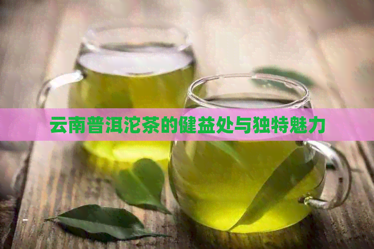 云南普洱沱茶的健益处与独特魅力