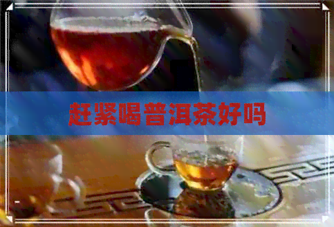 赶紧喝普洱茶好吗