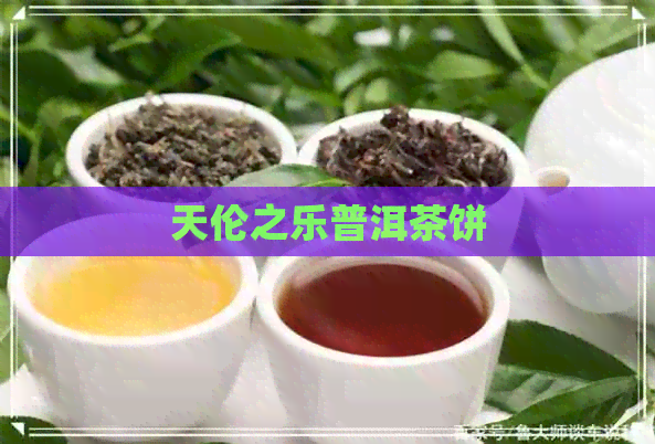 天伦之乐普洱茶饼