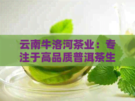 云南牛洛河茶业：专注于高品质普洱茶生产与推广的企业