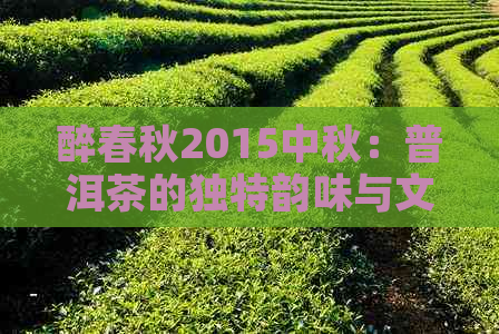 醉春秋2015中秋：普洱茶的独特韵味与文化传承