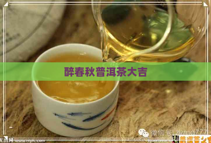 醉春秋普洱茶大吉