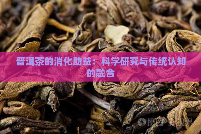 普洱茶的消化助益：科学研究与传统认知的融合