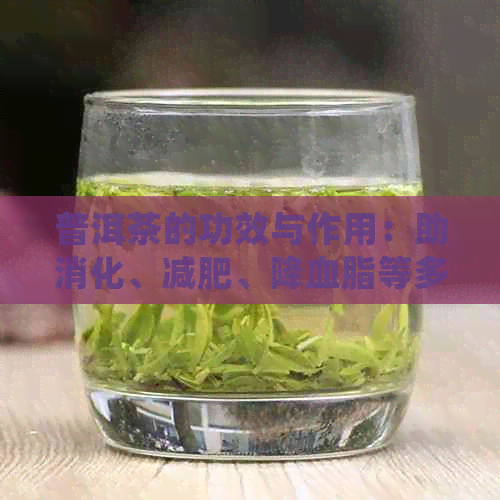 普洱茶的功效与作用：助消化、减肥、降血脂等多方面的好处