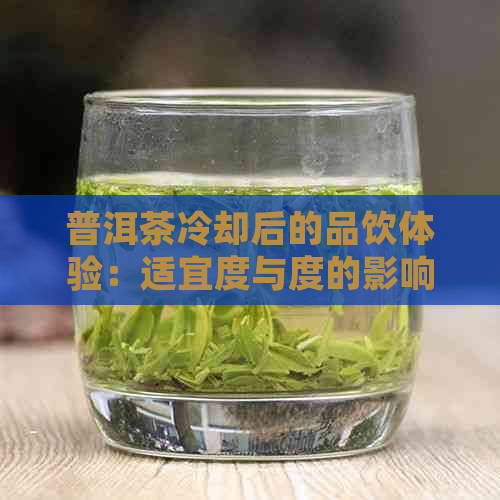 普洱茶冷却后的品饮体验：适宜度与度的影响