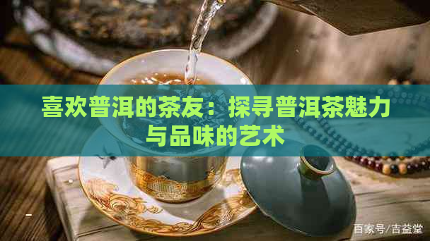 喜欢普洱的茶友：探寻普洱茶魅力与品味的艺术