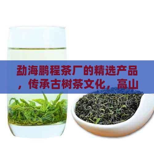 勐海鹏程茶厂的精选产品，传承古树茶文化，高山韵味，口感醇厚，品质越