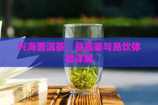 兴海普洱茶：品质鉴与品饮体验详解