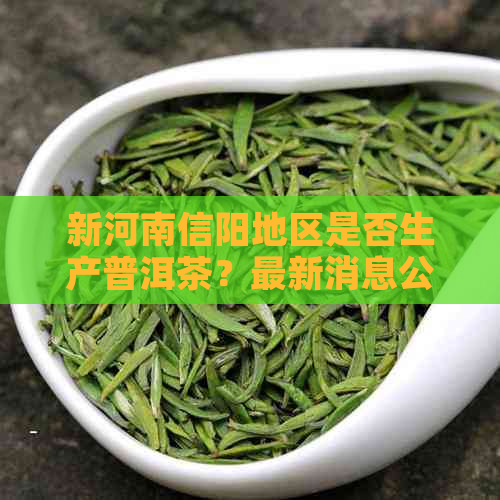 新河南信阳地区是否生产普洱茶？最新消息公布