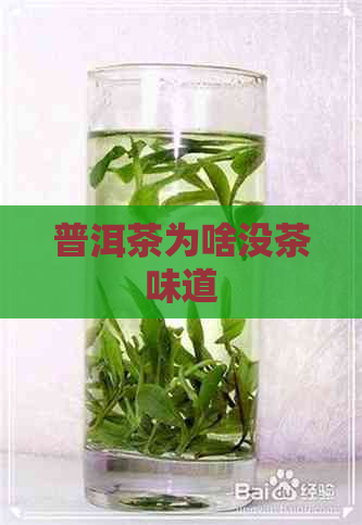 普洱茶为啥没茶味道