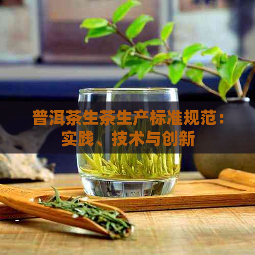 普洱茶生茶生产标准规范：实践、技术与创新