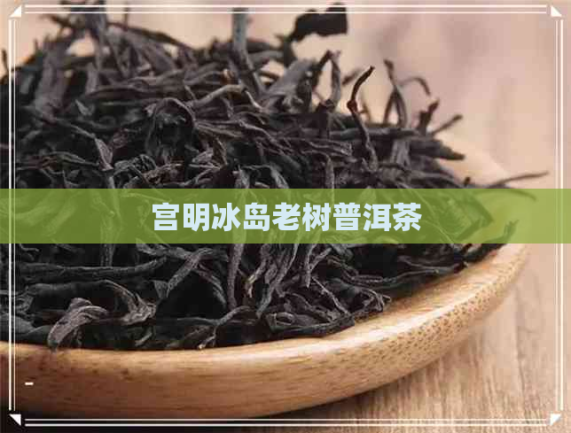 宫明冰岛老树普洱茶