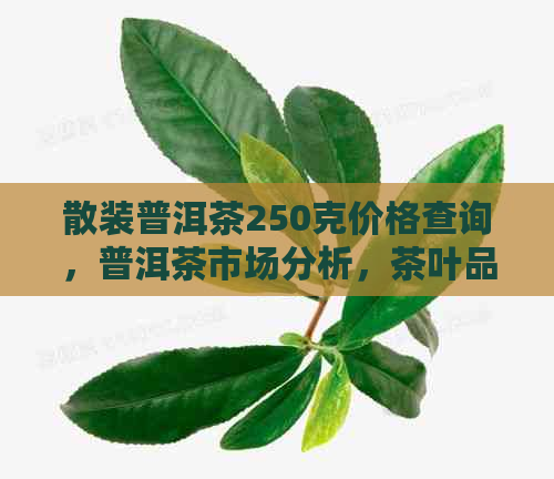 散装普洱茶250克价格查询，普洱茶市场分析，茶叶品质鉴别，茶艺文化传承。