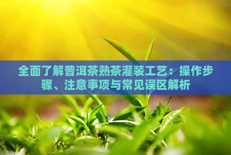 全面了解普洱茶熟茶灌装工艺：操作步骤、注意事项与常见误区解析