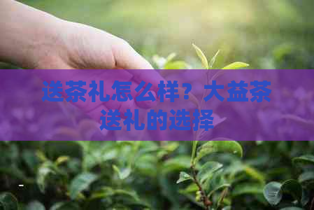 送茶礼怎么样？大益茶送礼的选择