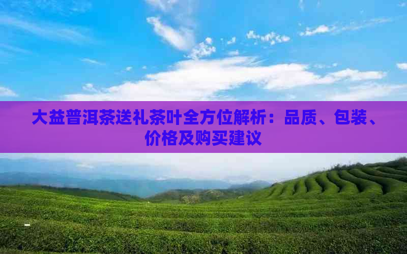 大益普洱茶送礼茶叶全方位解析：品质、包装、价格及购买建议