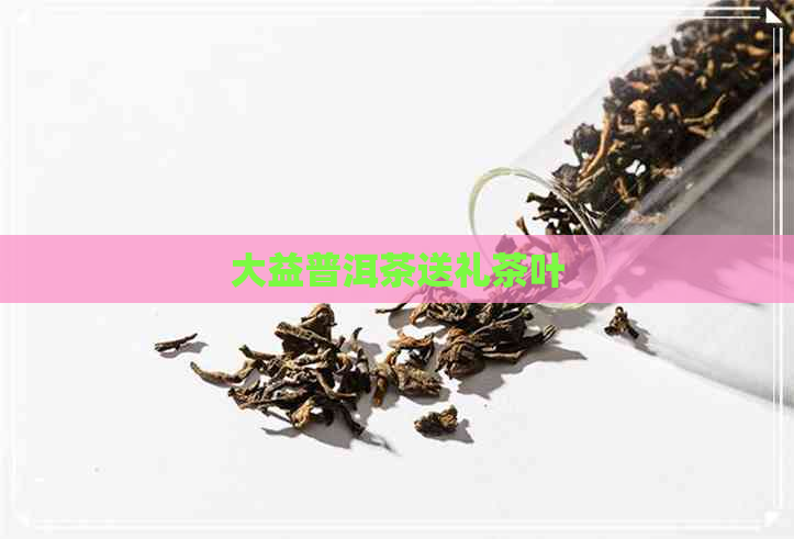 大益普洱茶送礼茶叶