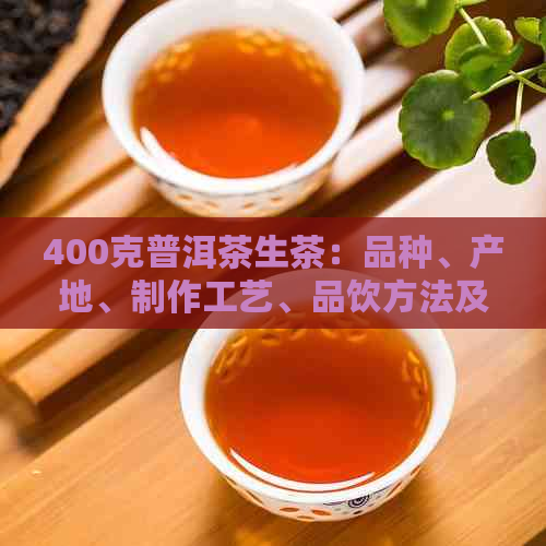 400克普洱茶生茶：品种、产地、制作工艺、品饮方法及注意事项全方位解析