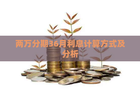 两万分期36月利息计算方式及分析