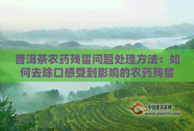 普洱茶农药残留问题处理方法：如何去除口感受到影响的农药残留？