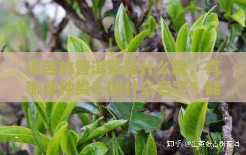 很苦的普洱茶是什么茶，有哪些种类？叫什么名字？能喝吗？特别苦的普洱茶。