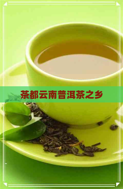 茶都云南普洱茶之乡