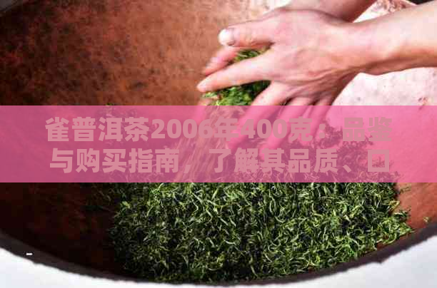 雀普洱茶2006年400克：品鉴与购买指南，了解其品质、口感和收藏价值