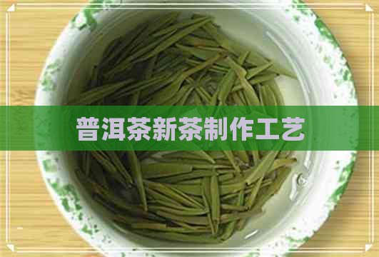 普洱茶新茶制作工艺