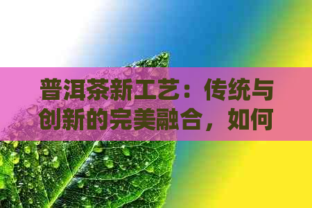 普洱茶新工艺：传统与创新的完美融合，如何选择与品鉴？