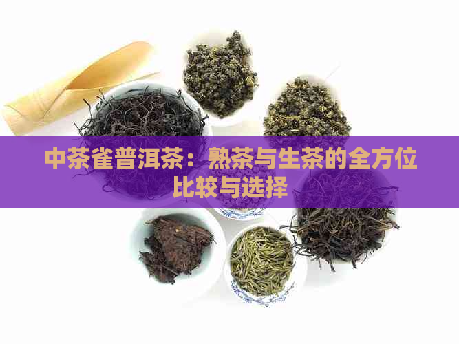 中茶雀普洱茶：熟茶与生茶的全方位比较与选择