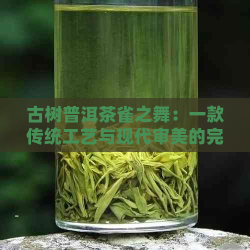 古树普洱茶雀之舞：一款传统工艺与现代审美的完美融合