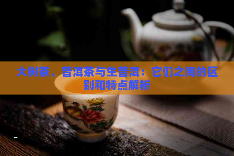 大树茶、普洱茶与生普洱：它们之间的区别和特点解析