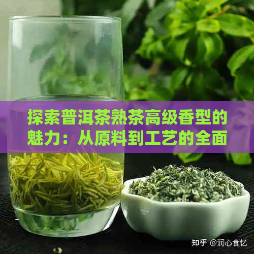 探索普洱茶熟茶高级香型的魅力：从原料到工艺的全面解析