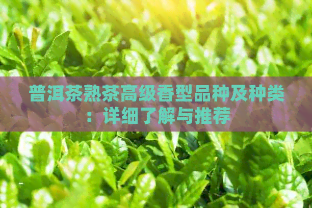 普洱茶熟茶高级香型品种及种类：详细了解与推荐